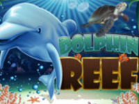 dolphinreef2NG