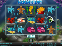 aquarium4WM