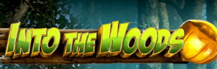 intothewoods1WM