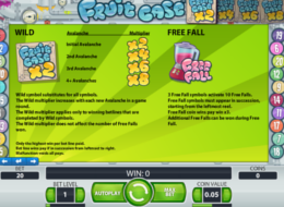 fruitcase4