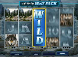 untamed wolfpack 3
