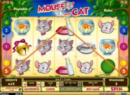 mouseandcat5iSB