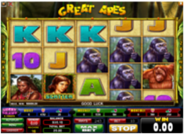 Great Apes3