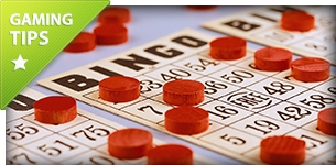 Bingo - Information and Tips