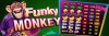 Funky Monkey 7