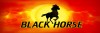 Black Horse 1