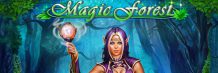 Magic Forest Magic Forest