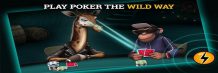 Wild Poker Playtrex